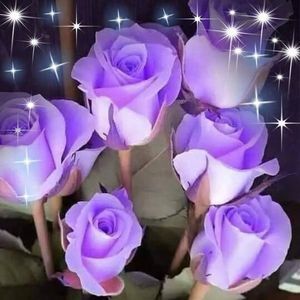 Meet your Posher, Rayetta